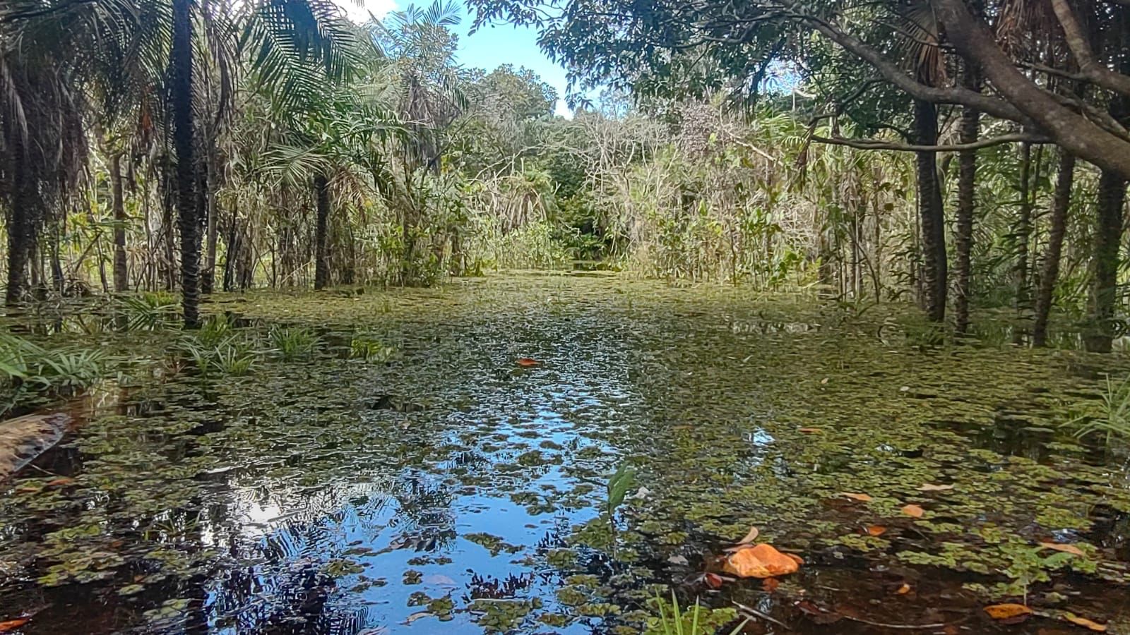 Quintas de São José do Rio Negro: Condomínio mais sustentável da região Norte