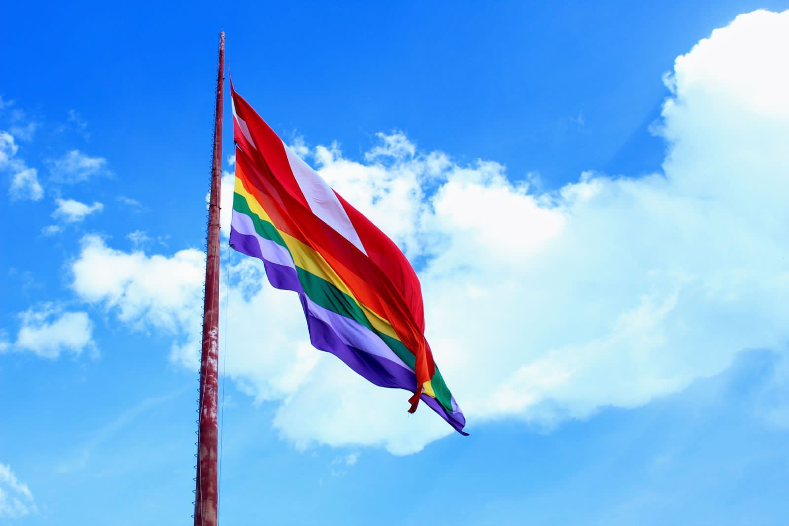 Caprichoso e Garantido hasteiam bandeira LGBTQIA+ no Dia Internacional do Orgulho