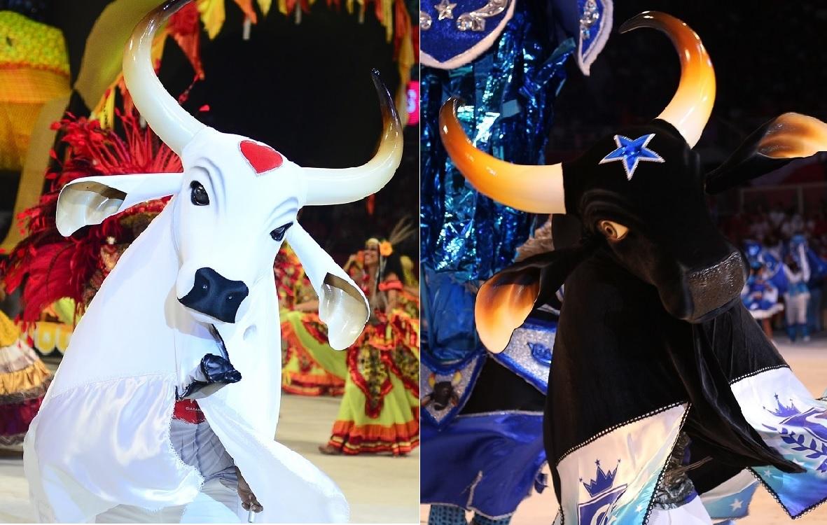 Bumbás mostram garra em último ensaio da temporada no Sambódromo em Manaus