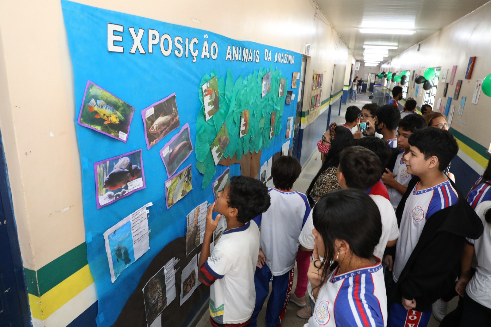 State school promotes multidisciplinary fair with exhibition of scientific initiation projects