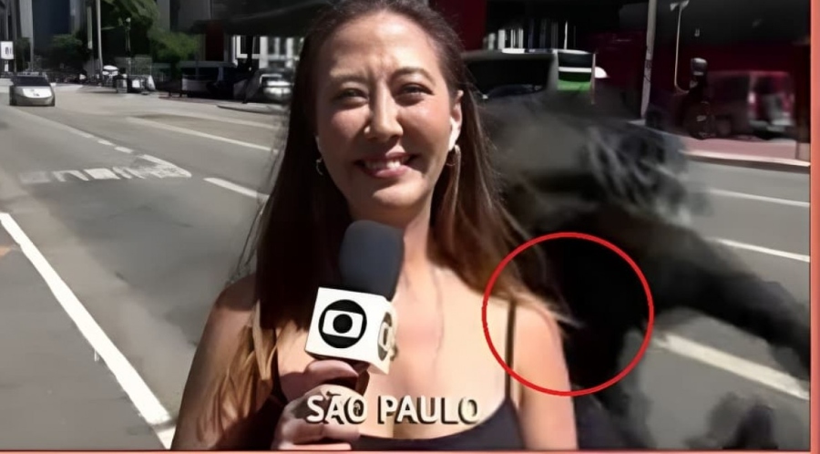 Globo reporter suffers live robbery attempt
