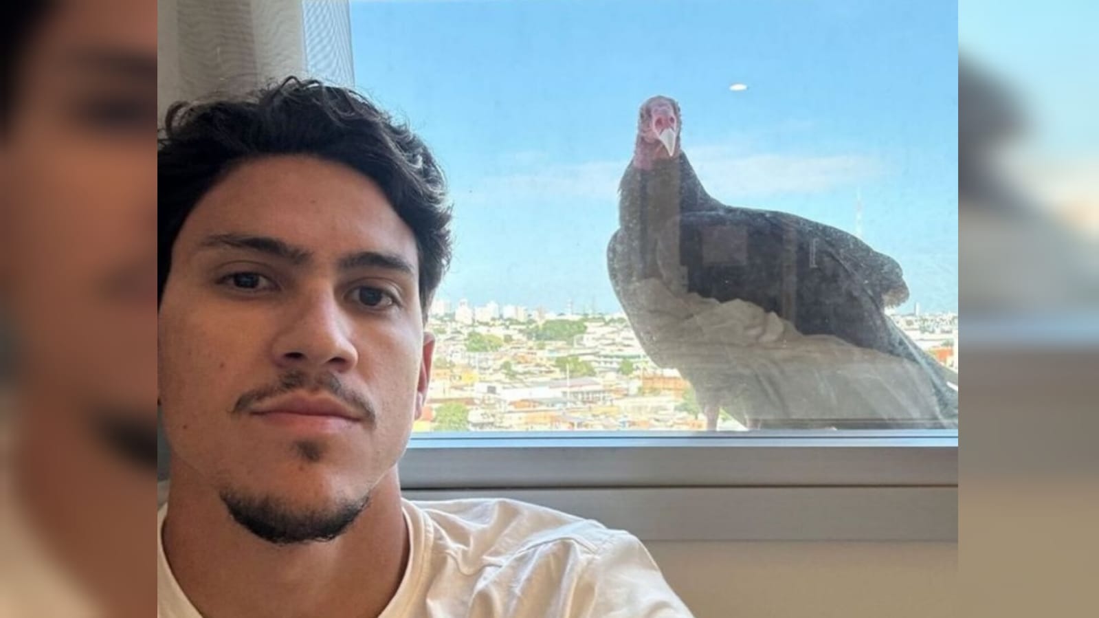 striker Pedro is woken up by vulture in hotel before Flamengo game in Manaus