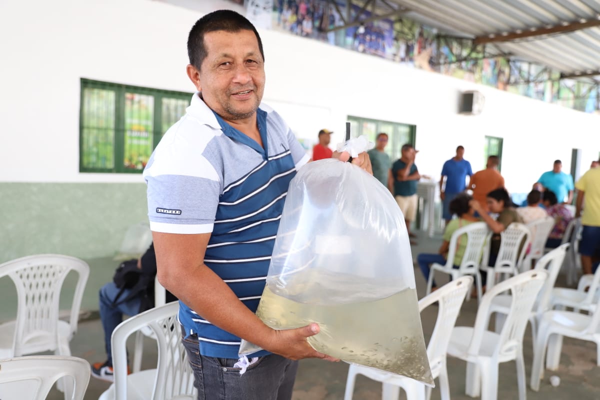 Fish farmers from municipalities in the interior of AM receive 93 thousand tambaqui fry