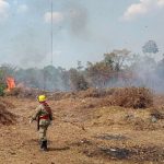 Dados foram compilados pela Sala de Situação da corporação