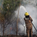 Agentes iniciaram trabalhos com foco de atuação no sul do Amazonas