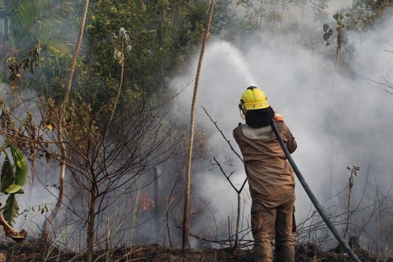 Agentes iniciaram trabalhos com foco de atuação no sul do Amazonas