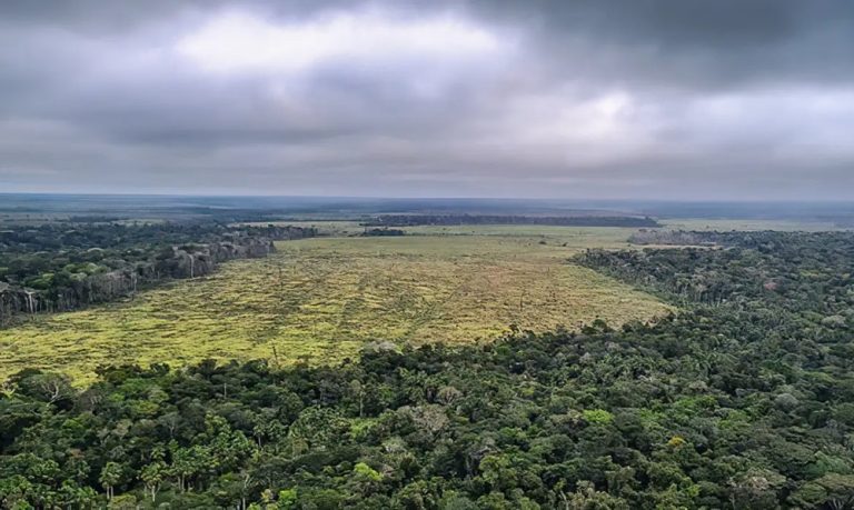 Degradação ambiental é o processo de deterioração do meio ambiente, causado por ações humanas ou naturais