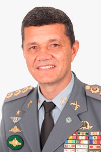 articulista