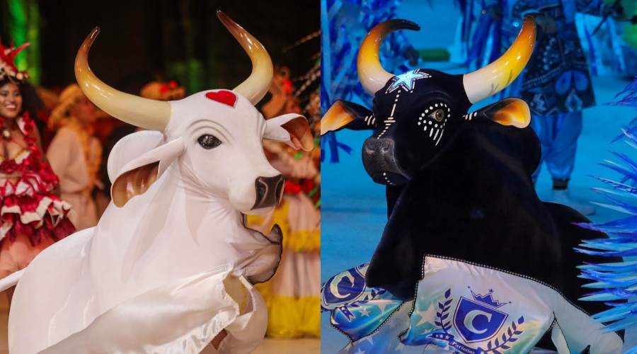 Natura é nova patrocinadora do Festival de Parintins e reforça laços com a Amazônia