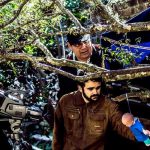 Evento exibe seis curtas de Diogo Ferreira no Largo de São Sebastião