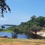 Comunidade Tiririca no município de Novo Airão