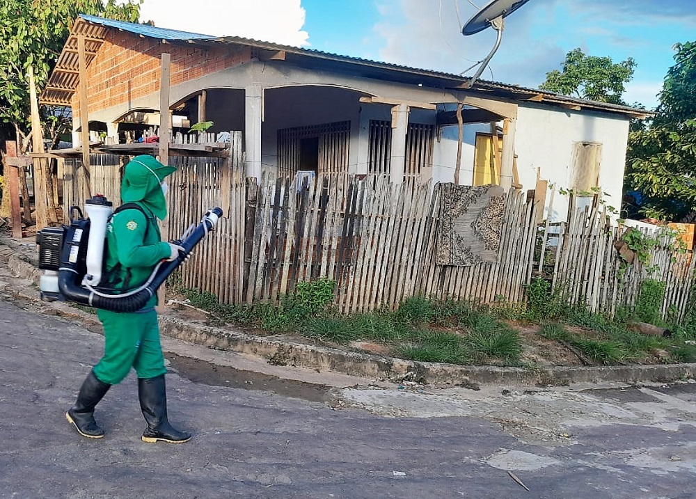 Políticas públicas eficazes e a conscientização ambiental são fundamentais para conter o avanço dessas doenças