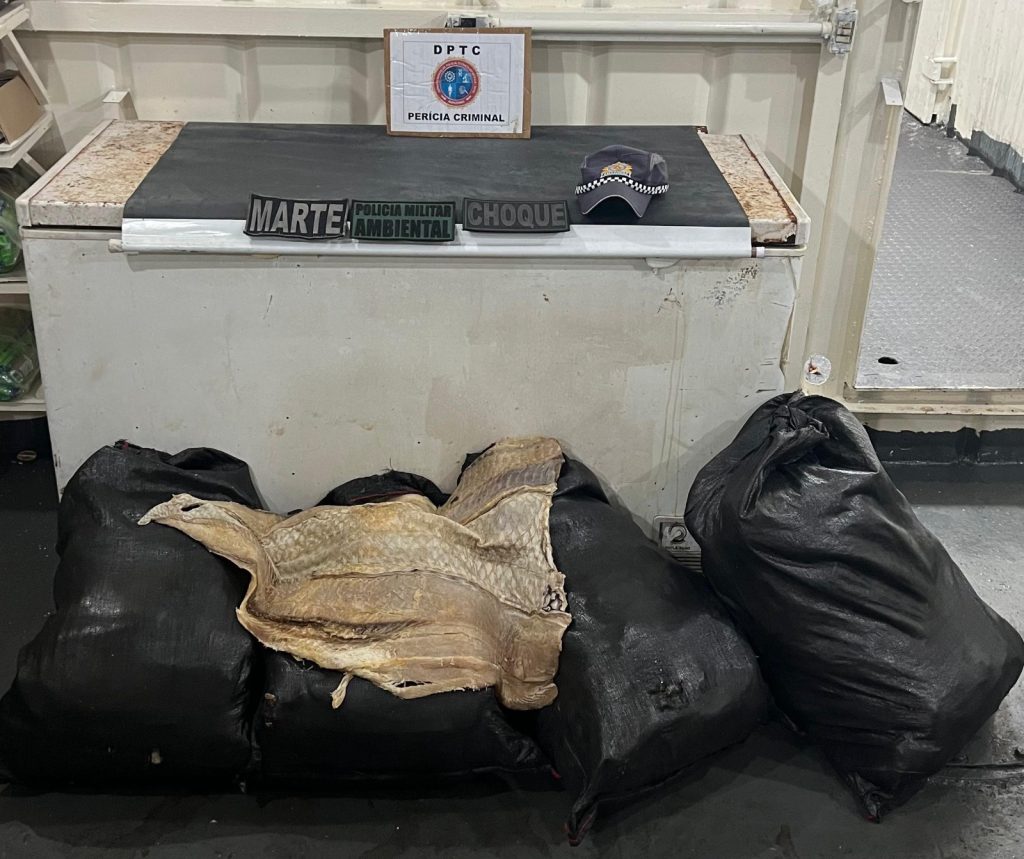 Sacolas de pirarucu seco apreendidas pela PM na Base Arpão 3, em Coari