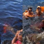 Famosos nadam com botos cor-de-rosa no rio amazônico durante tour do Festival da Cunhã