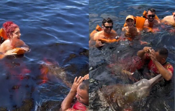 Famosos nadam com botos cor-de-rosa no rio amazônico durante tour do Festival da Cunhã