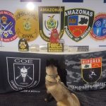Tabletes de drogas apreendidos dentro de saco de farinha pela PMAM em operação na Base Arpão 3