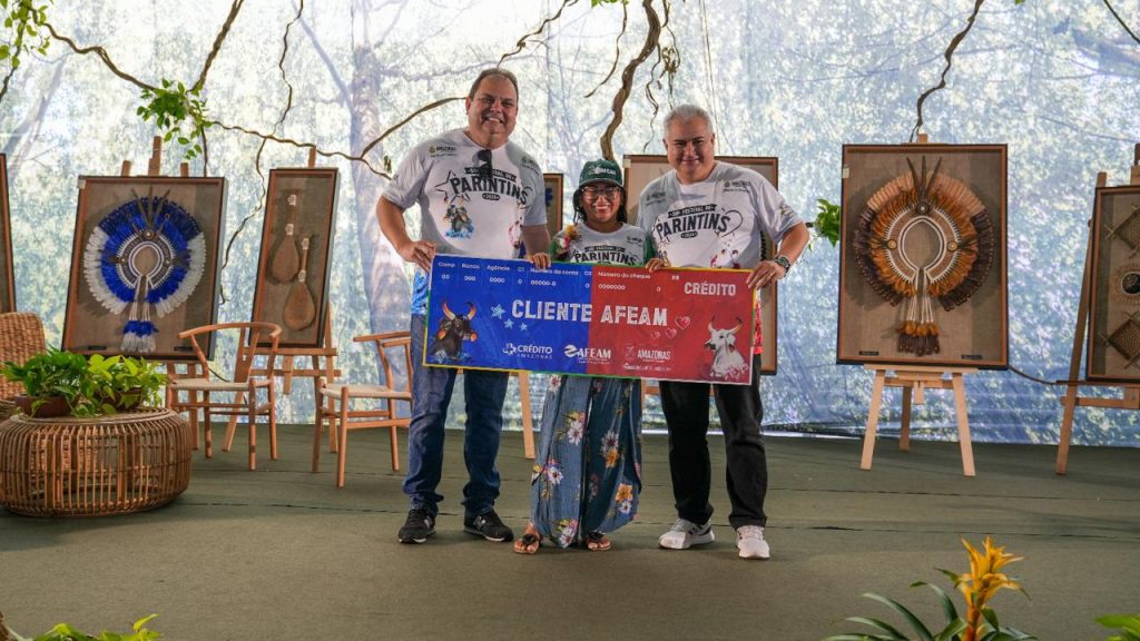 artesanato festival de parintins