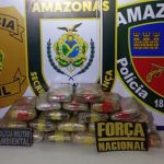 Cadela policial Athena durante operação de apreensão de drogas em barco no Amazonas