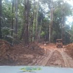 Fiscais do Ipaam durante operação ambiental em área desmatada no Amazonas