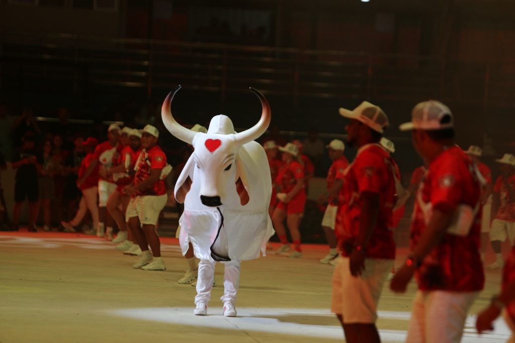 Ensaio Boi Garantido