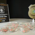 Comprimidos de ecstasy apreendidos pelo Denarc e Receita Federal em Manaus