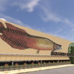 Projeto do aquário municipal de Manaus com vista para o rio Negro