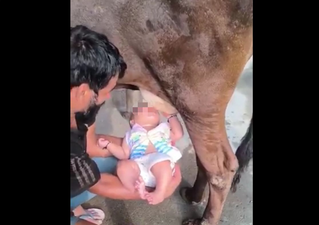 VÍDEO: Pai coloca bebê para mamar em vaca e causa polêmica