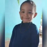 Imagem ilustrativa de escorpião-amarelo, espécie responsável por picada que matou criança no Paraná