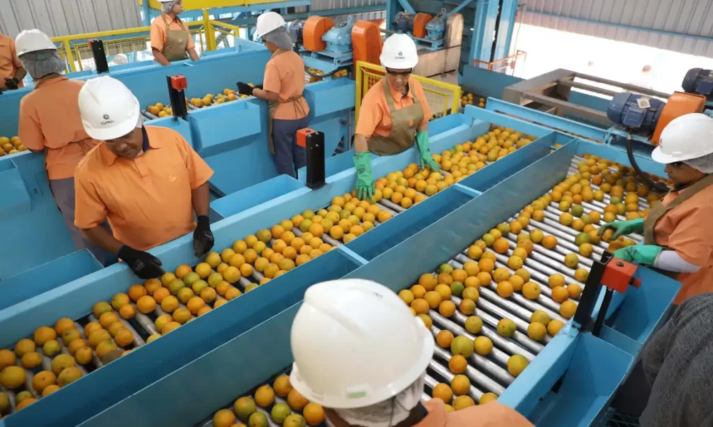 Presidente Donald Trump assina ordem que impõe tarifa de 50% a produtos do Brasil