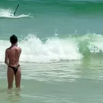 Tubarão ataca ave próximo a banhistas na Flórida