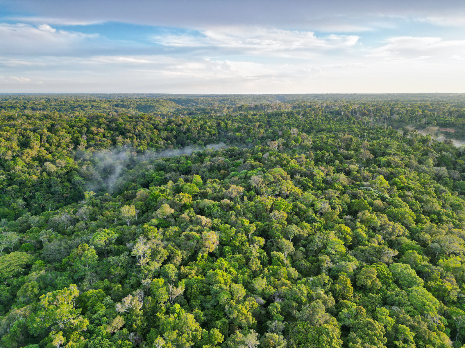 Amazônia perdeu 52 milhões de hectares de floresta em 40 anos