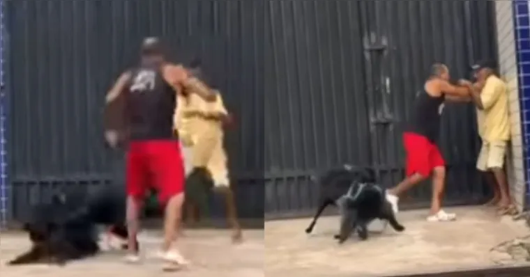 Cães e donos brigam durante passeio em Belém; vídeo viraliza