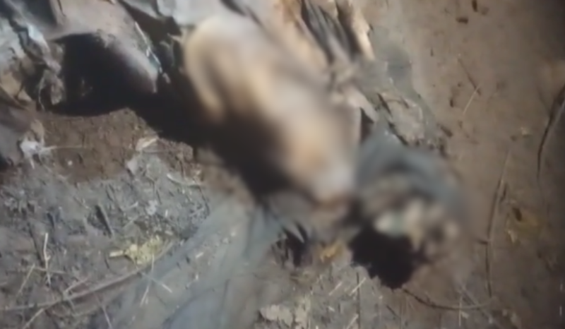 Corpo encontrado no Puraquequara pode ser de homem desaparecido há 16 dias, em Manaus