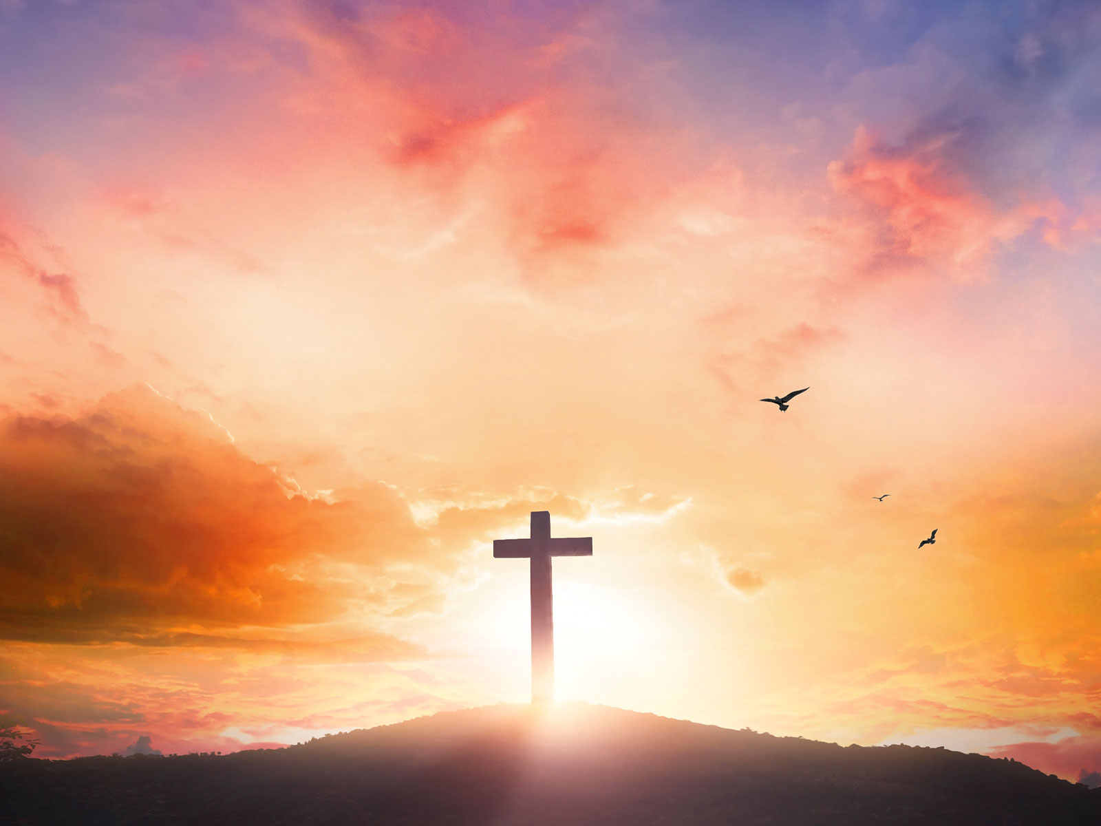 Sal da terra, luz do mundo