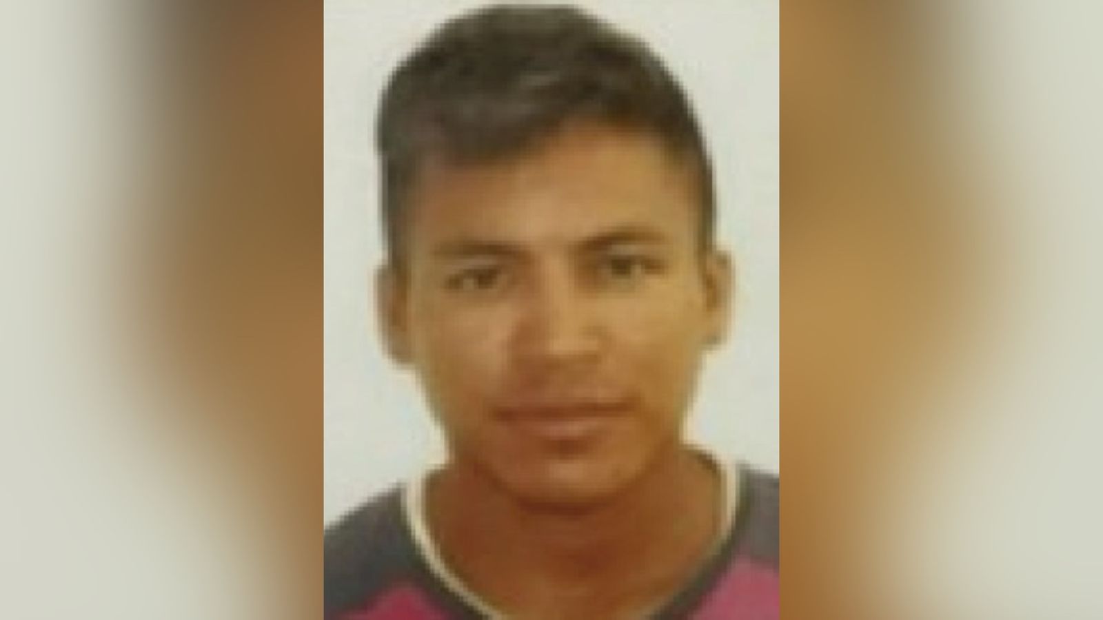 Preso homem que esfaqueou cadela grávida em Manaus
