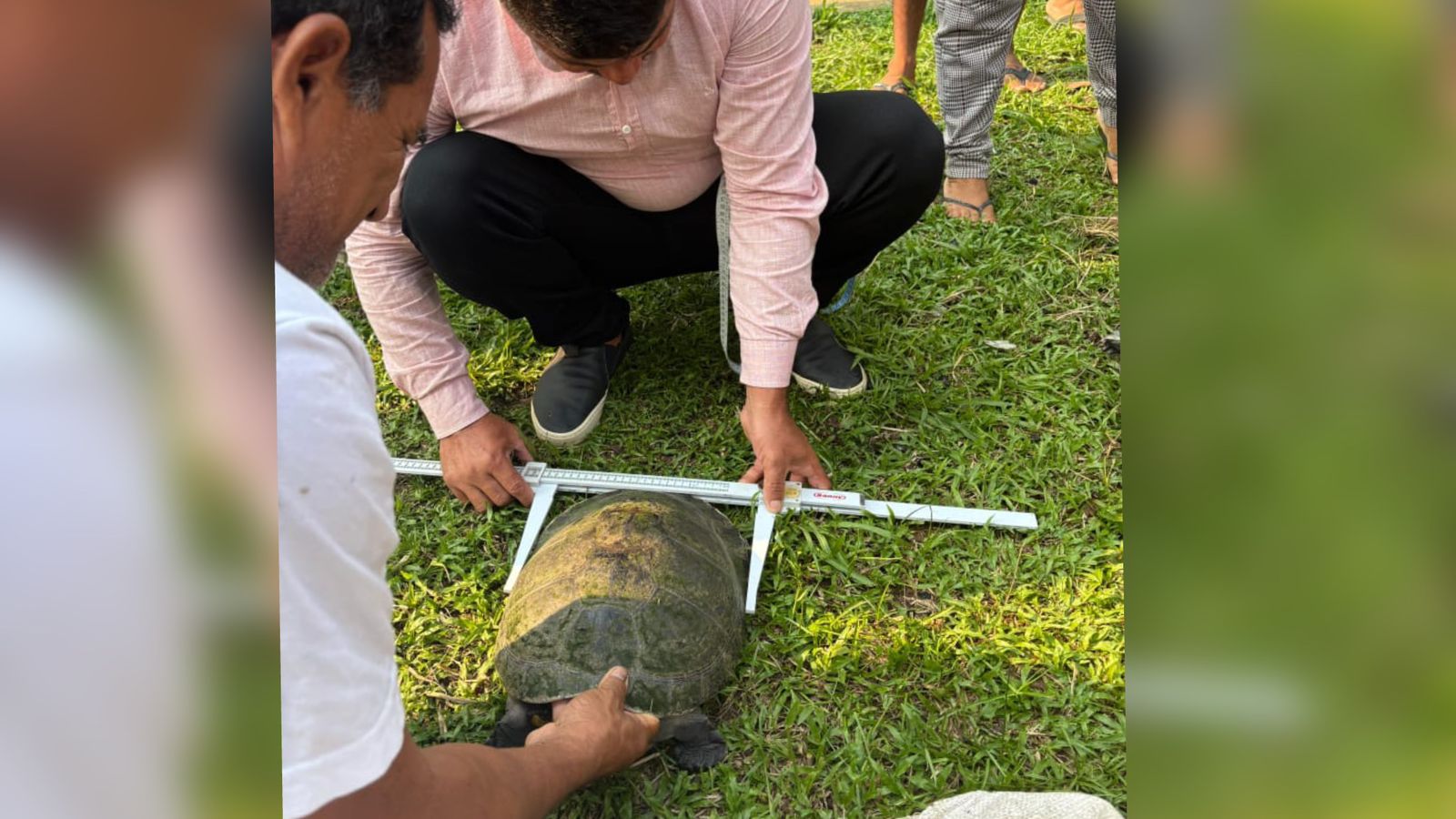 Moradores de 20 comunidades do AM participam de curso sobre manejo de quelônios