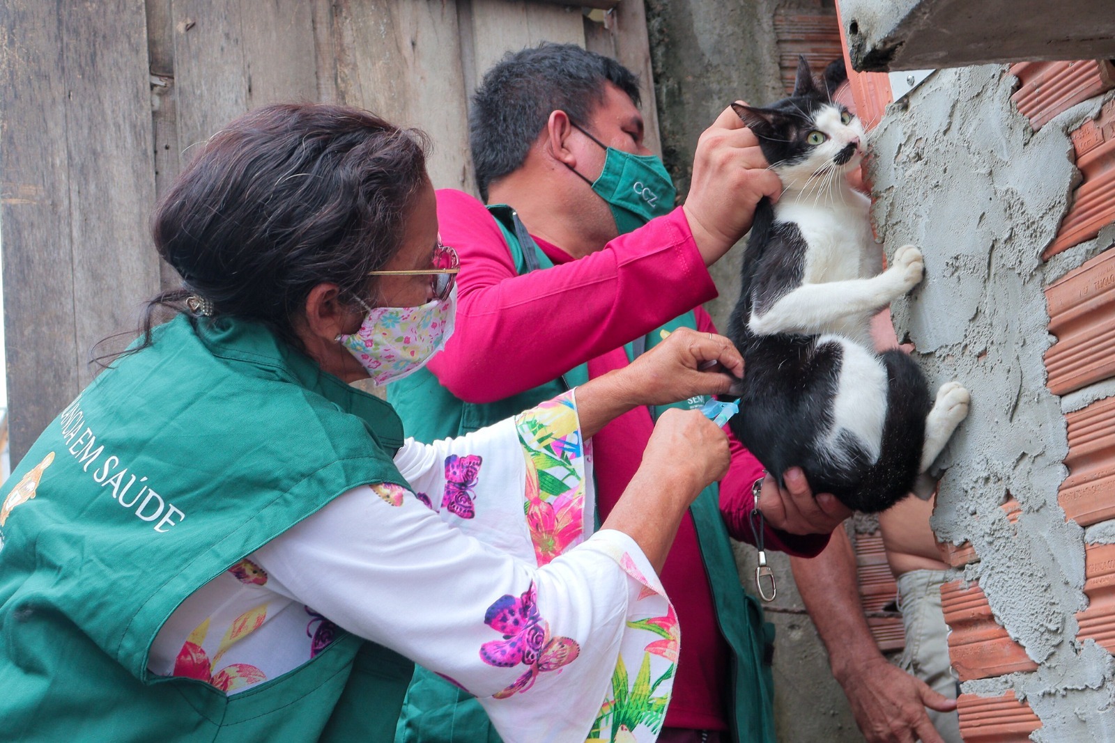 ‘Manaus Cidadã’ oferece 1 mil doses de vacina para cães e gatos neste sábado; veja onde