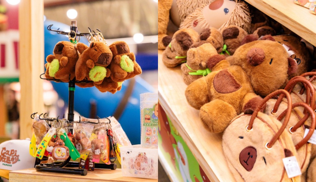 CapiValley estreia em Manaus unindo diversão infantil e preservação ambiental