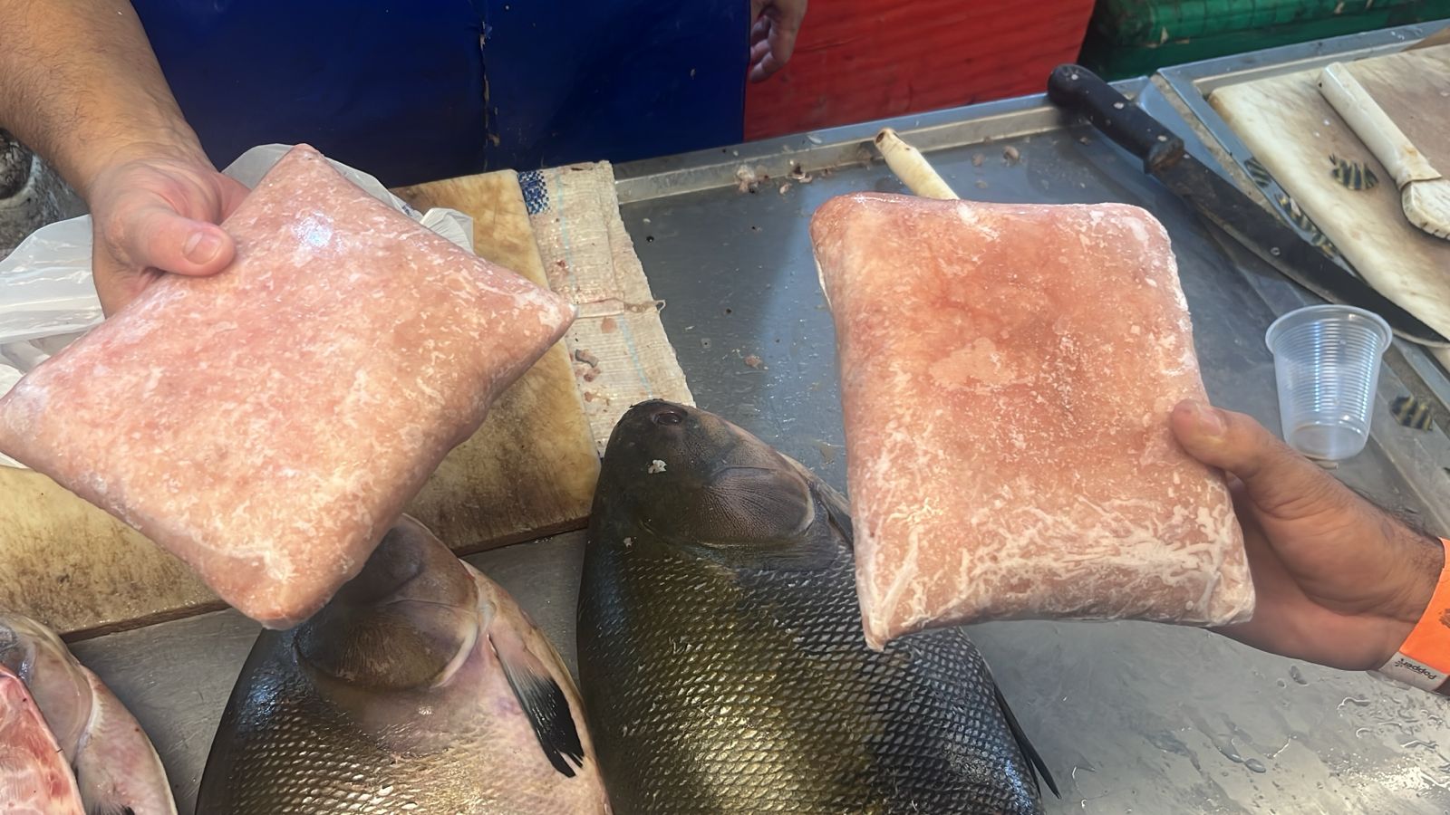 Escassez e alta de preços fazem consumidores de Manaus substituírem peixe por outras proteínas