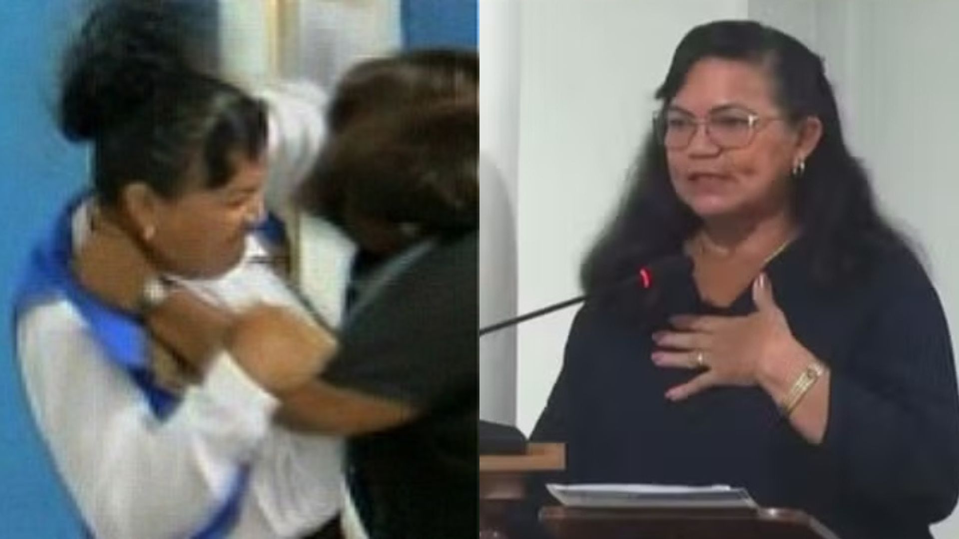 Vereadora de Borba que defendeu violência contra mulheres já brigou em plenário