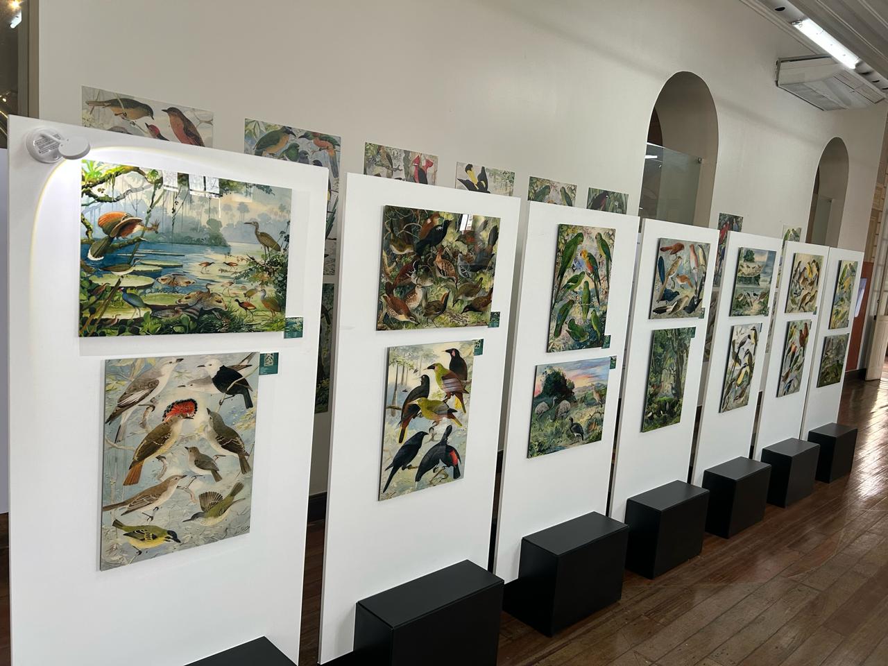 Exposição sobre a biodiversidade da Amazônia fica em Manaus até 14 de setembro