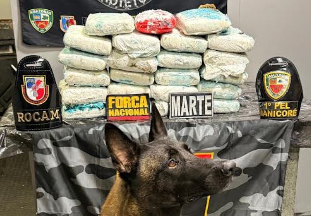 Cão policial encontra drogas dentro de geladeira e fogão em barco no Amazonas