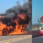 Foto: Reprodução Redes Sociais