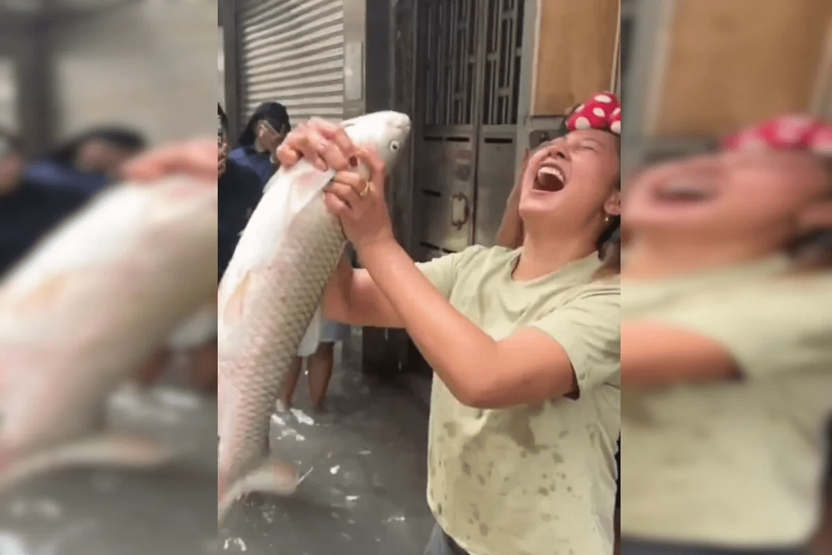 Chineses pescam nas ruas alagadas de Macau após supertufão Ragasa