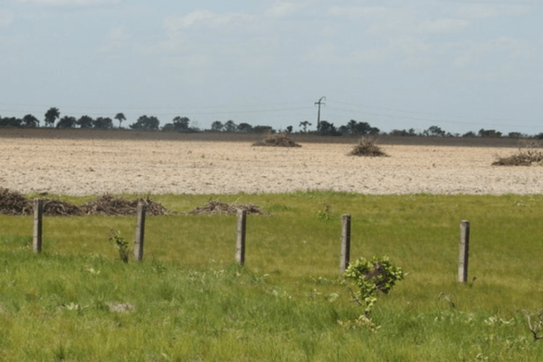 Governo Federal lança sistema para monitoramento diário da Amazônia