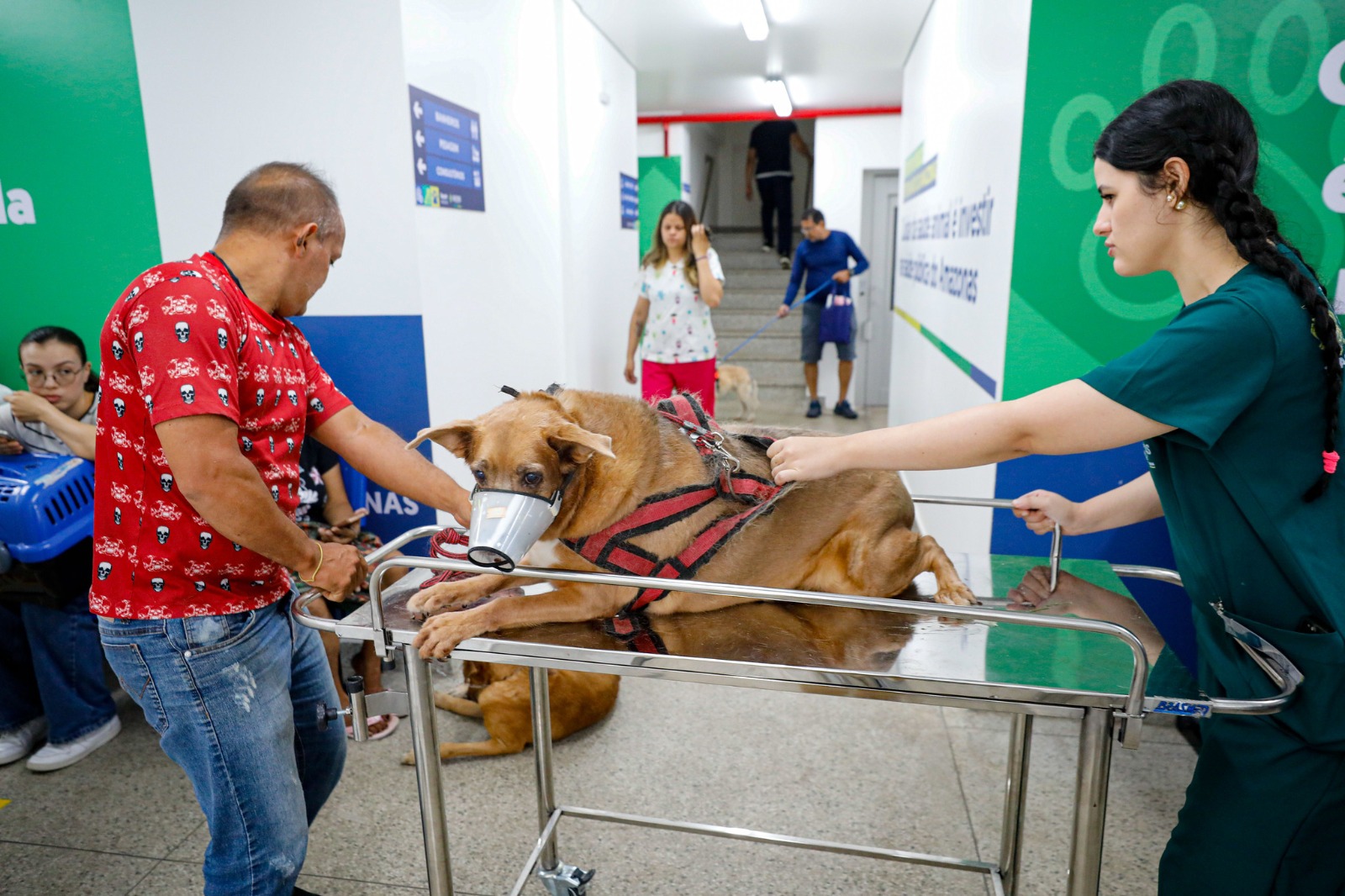 Hospital Veterinário do Amazonas já realizou mais de 3 mil atendimentos