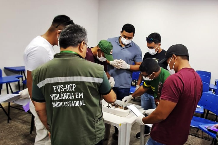 Tabatinga recebe treinamento para conter morcegos transmissores de raiva