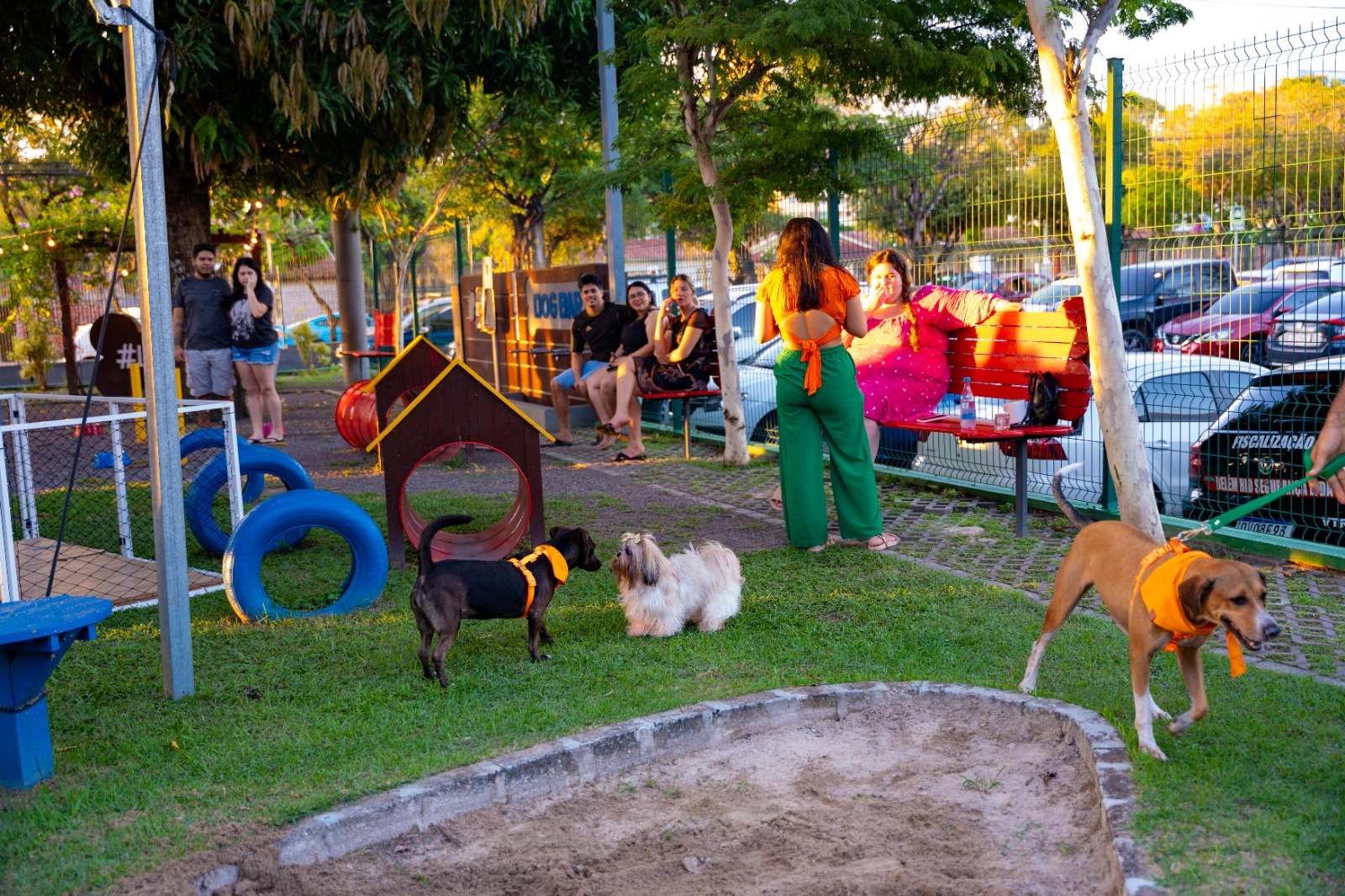 Pet Park recebe evento de adoção de animais, neste sábado (4)