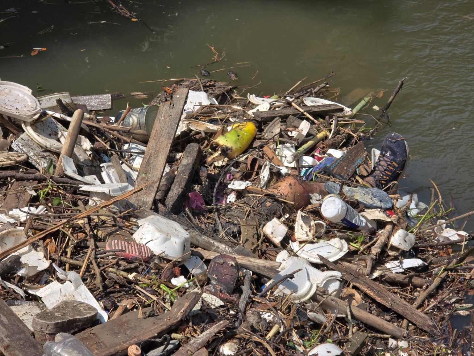 Corpo é encontrado dentro de igarapé no Passeio do Mindu, em Manaus