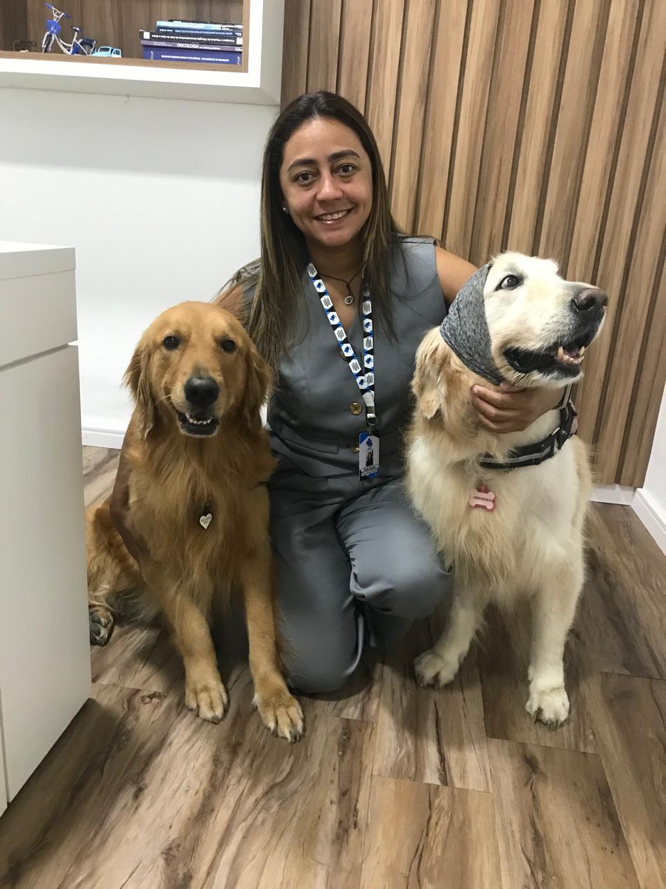 Câncer de mama também afeta pets e pode ser prevenido; saiba como